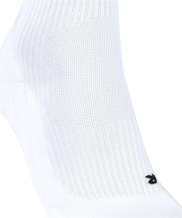 Actual product image Falke TE4 Classic (42 - 43)