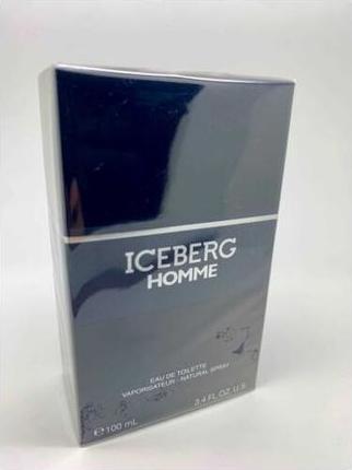 Actual product image Iceberg Homme Eau de Toilette 100ml (Eau de toilette, 100 ml)