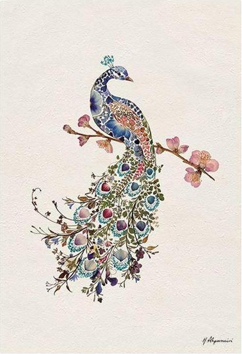 Produktbild Universal Textiles Poster Pfau (40 x 30 cm)
