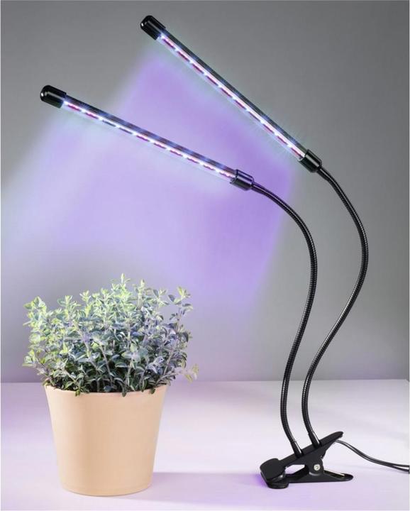 Immagine prodotto Xavax Bastone (LED, 5 V)