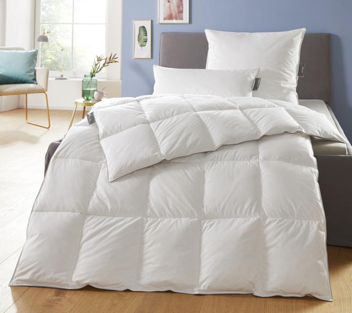 Actual product image Badenia Trendline Trendline Princess medium feather duvet (700 g, 135 x 200 cm)