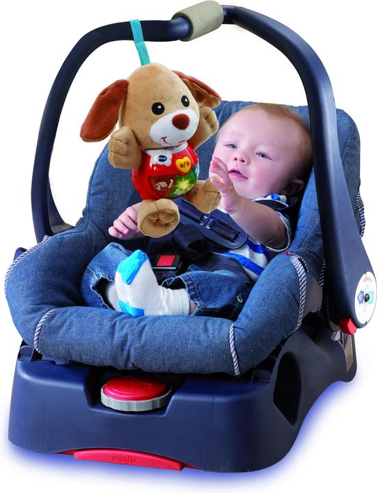 Image du produit VTech Chant'toutou brun FR