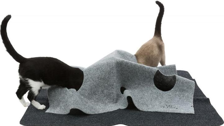 Produktbild Trixie Adventure Carpet (Katzenminzespielzeug)