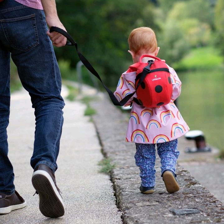 Produktbild Littlelife Toddler Backpack