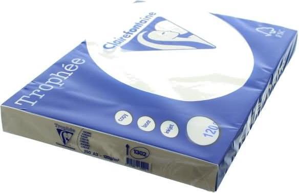 Produktbild Clairalfa Multifunktionspapier Troph‚e, A3, 120 g/qm, sand (120 g/m², 250 x, A3)