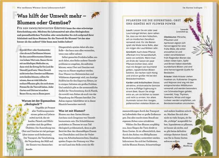 Produktbild Wie verdienen Würmer ihren Lebensunterhalt? (Deutsch, Holly Farrell, Gareth Richards, LV.Buch, 2021)