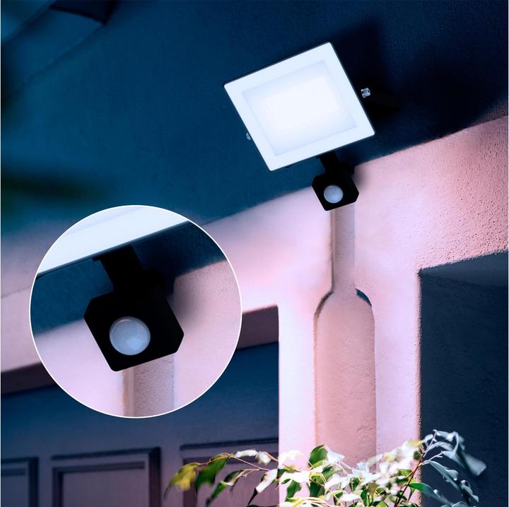 Actual product image Philips Outdoor Flutlicht Lois (2850 lm, IP65)