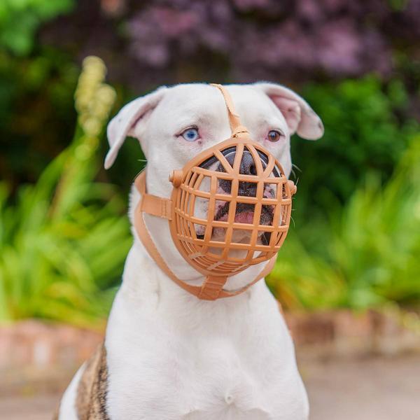 Produktbild Baskerville Maulkorb Wide Fit (Hund)