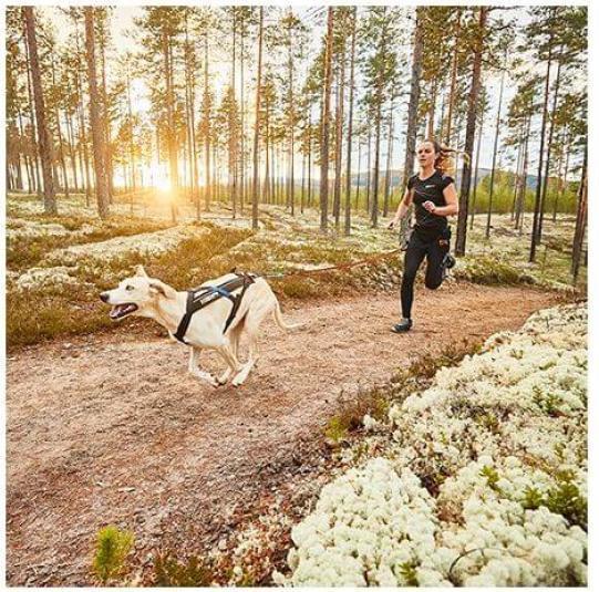 Image du produit Non-Stop Dogwear Harnais Freemotion (3, Chien, Général)