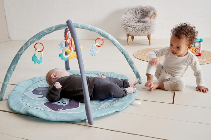 Produktbild Scandinavian Baby Products Zoo Activity Gym