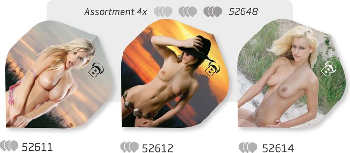 Dart flights