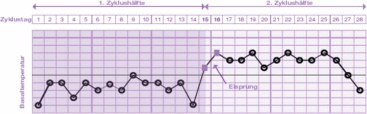 Immagine prodotto Evial Basalthermometer