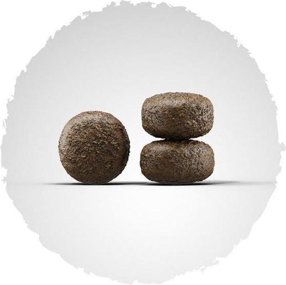 Produktbild Josera Sensi Junior (Junior, 1 Stk., 12500 g)