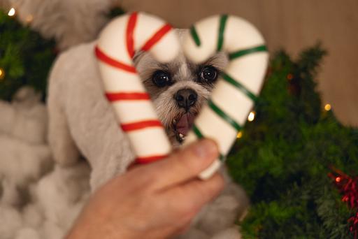 Produktbild Beeztees Weihnachten Zuckerstange