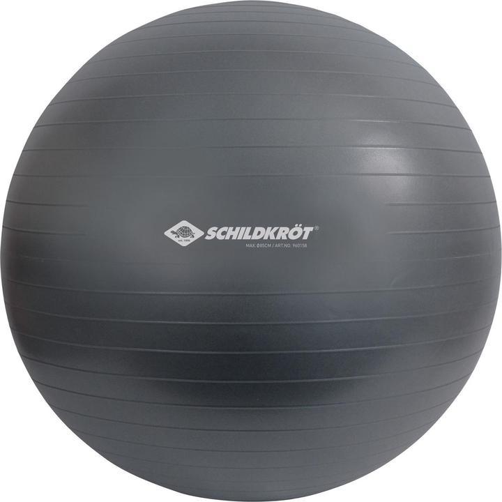 Schildkröt Balle de gymnastique (85 cm)