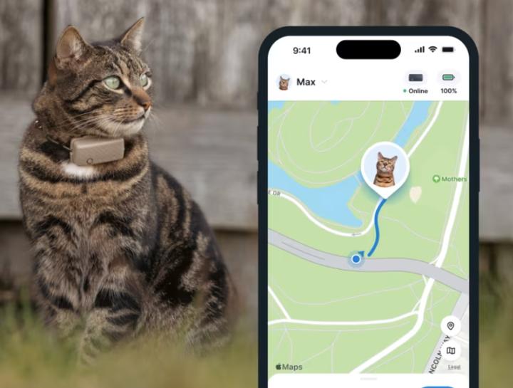 Immagine prodotto Tractive GPS Mini (Taglia unica, Gatto, Generale)