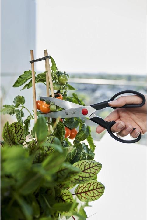 Actual product image Zwilling Twin L (23 cm)