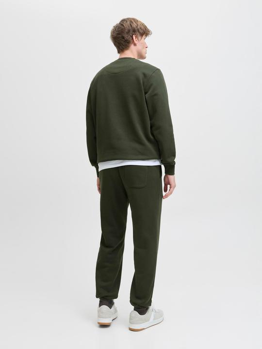 Immagine prodotto Jack & Jones Jjesoho Sweat Crew Neck Noos (L)