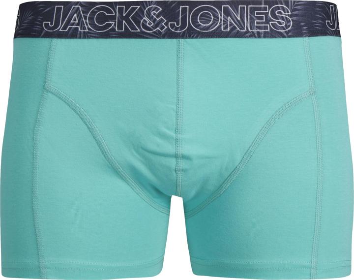 Actual product image Jack & Jones Jaccanvey Trunks 10 Pack (XL, pack of 10)