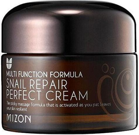 Actual product image Mizon Face Cream With Snail Secretion Filtrate 60% For Problematic Skin (Snail Repair Perfect (50 ml)