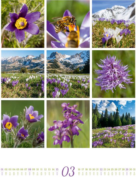 Immagine prodotto Inspiration Natur Kalender 2026 (Copertina rigida, Inglese, Francese, Tedesco)