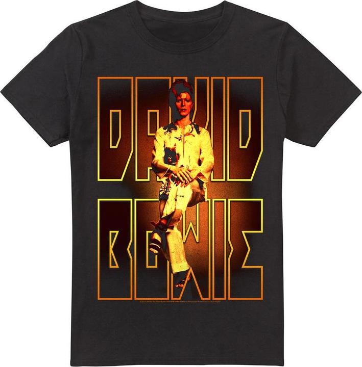 David Bowie Perched TShirt