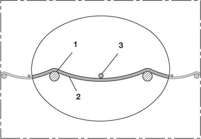 Produktbild Norres Absaug- und Gebläseschlauch SIL 391 ONE Innen-Ø 114 mm Aussen-Ø 119 mm 2,5 mm Länge 4 m