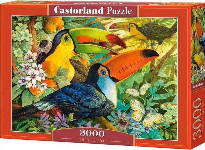 Castorland Castor 3000 Interlude (3000 Teile)