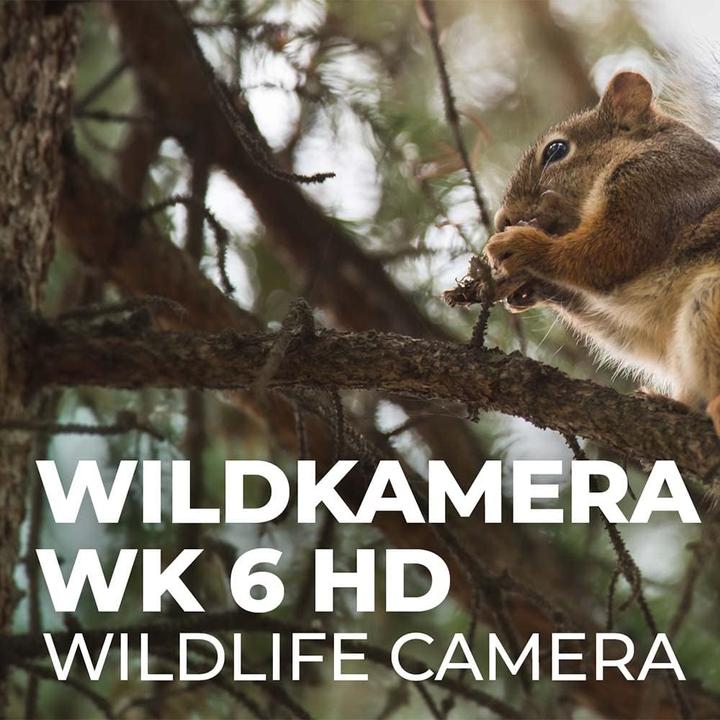 Produktbild Maginon Wildkamera, WK 6 HD