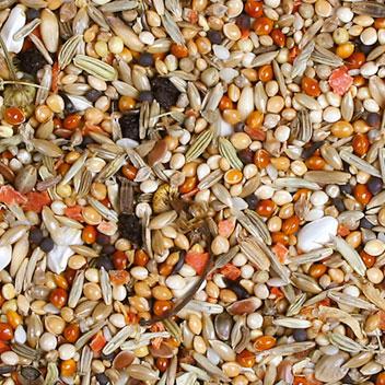 Actual product image JR Farm Birds Premium Cockatiel (1 x, 1 kg)