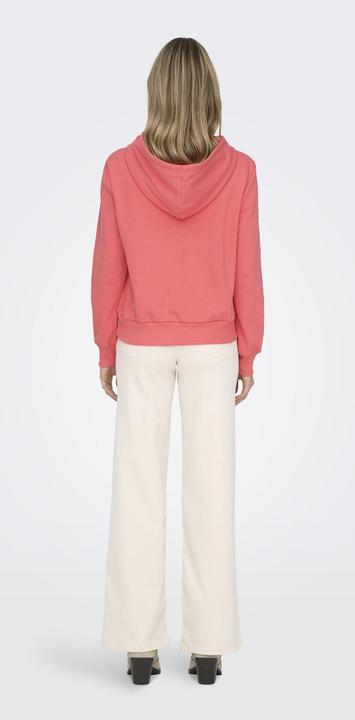 Immagine prodotto Only ONLNOLI Sweatshirt Kapuzenpullover (S)