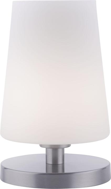 Actual product image Paul Neuhaus steel LED table lamp 3000K 3W (245 lm, G9)