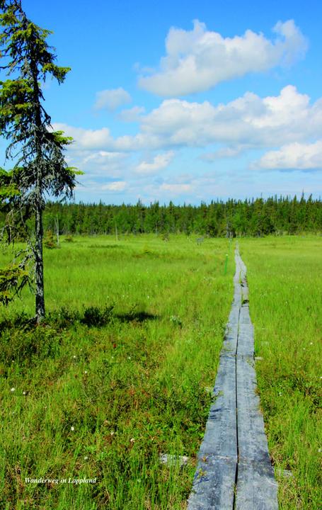 Immagine prodotto Guida di viaggio Finlandia