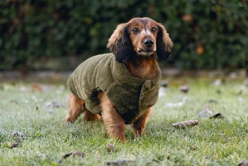 Produktbild Designed by Lotte Hundemantel Victoria (XL, Hundemantel)