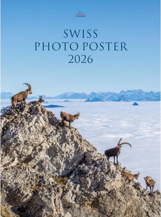 Actual product image Swiss Photo Poster 2026 (50 x 68 cm, German)