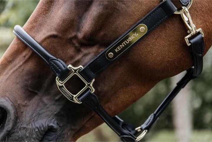 Immagine prodotto Kentucky Horsewear Copricapo per cavezza anatomica in cuoio
