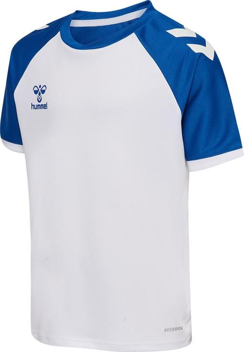 whitetrueblue