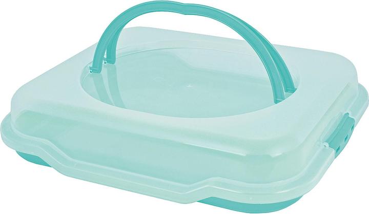 Actual product image GIES Cake butler 46x38.5x9.5 turquoise.