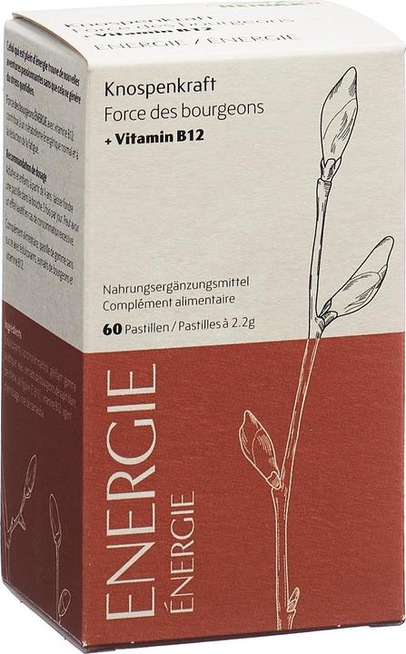 Actual product image Heidak Knospenkraft Pastillen Energie (60 Piece, Pastilles, 287 g)