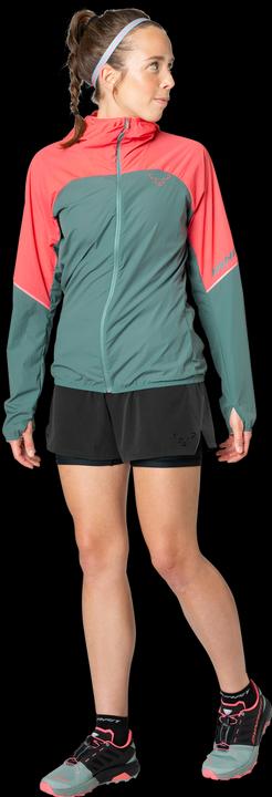 Actual product image Dynafit Alpine Wind Jacke (L)