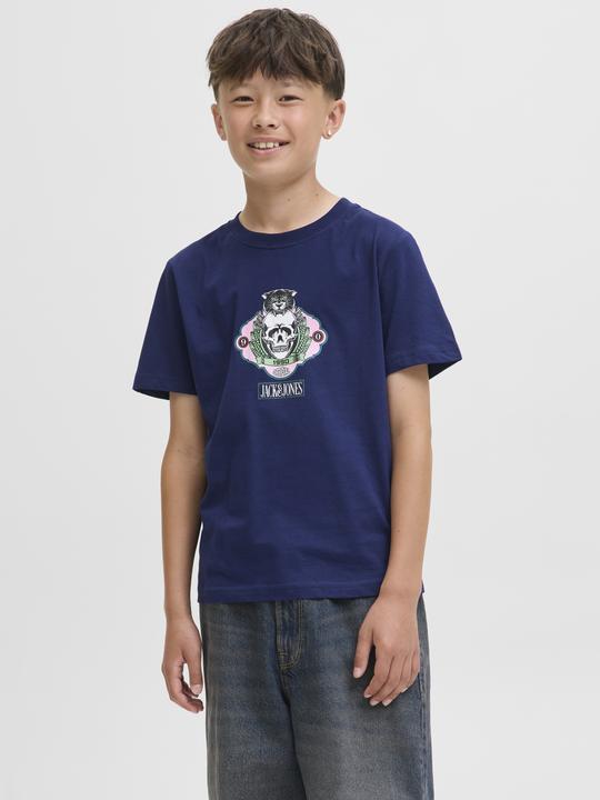Actual product image Jack & Jones Jorskull Nature Tee Ss Crew Neck Sn Jnr (164)