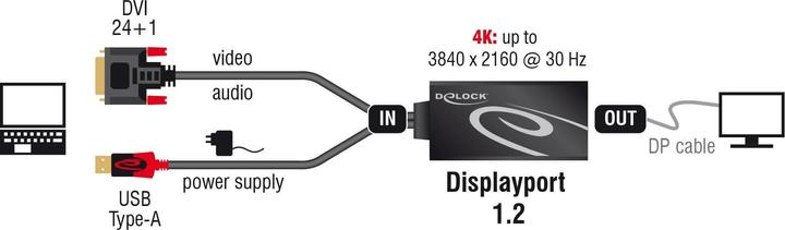 Actual product image Delock DVI to (DP, 13.50 cm)