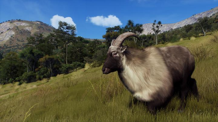 Actual product image THQ Way of the Hunter - Wild Expeditions (Xbox Series X, EN)
