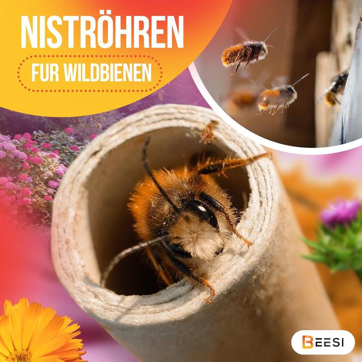 Actual product image Beesi Nesting pods (Wild bees)