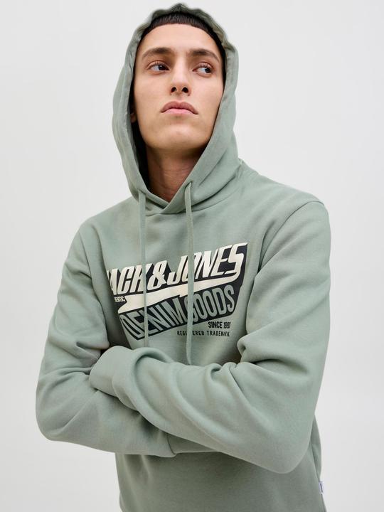 Actual product image Jack & Jones JJELOGO SWEAT HOOD 2 COL 25/26 NOOS (M)