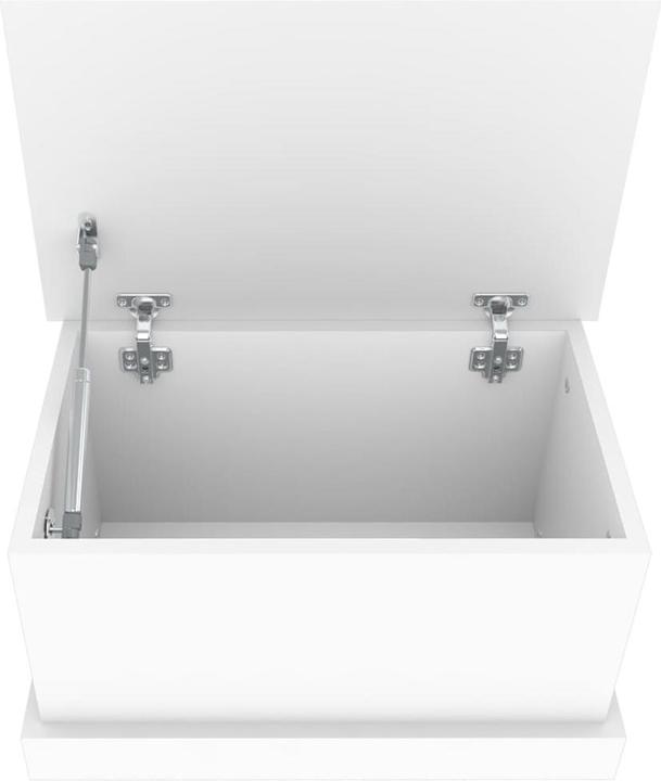 Produktbild VidaXL Giata (50 x 30 x 28 cm)