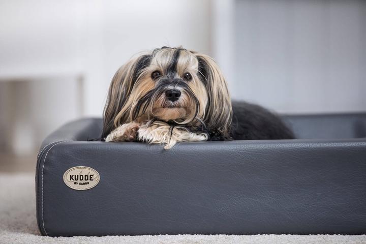 Produktbild Sabro Kudde (Hund)