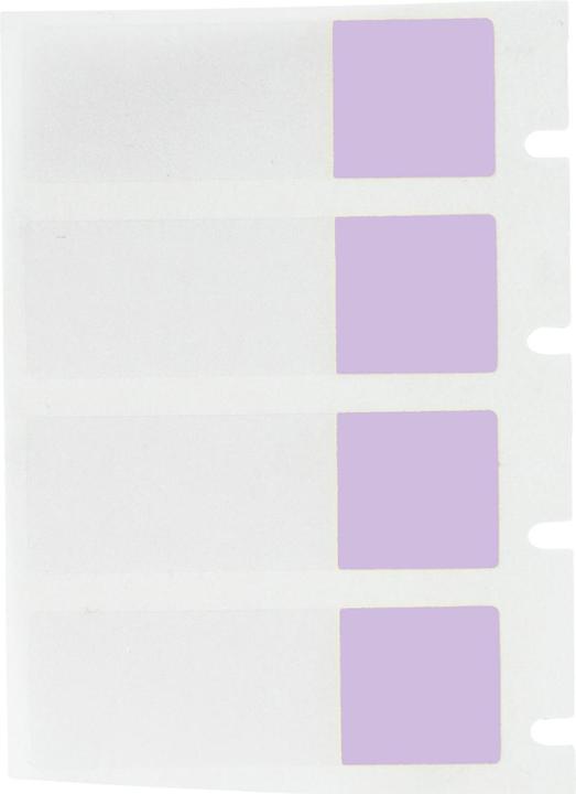 Actual product image Brady PTL-29-427-PL, vinyl, self-laminating, violet/transparent, matt, 12.70 x 12.70(38.10) mm