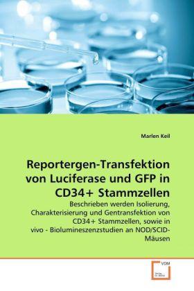 Produktbild Reportergen-Transfektion von Luciferase und GFP in CD34+ Stammzellen (Marlen Keil, 2008)