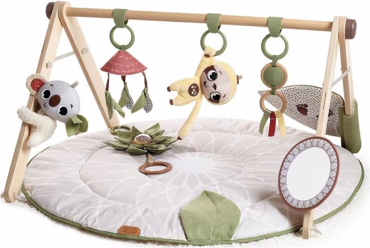 Tiny Love Boho Chic Luxe Gymini de développement